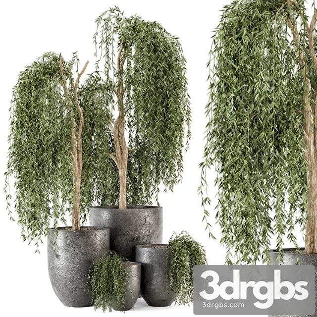 Outdoor Plants Bush And Tree In Rusty Dark Concrete Pot Set 52 3D Model Download