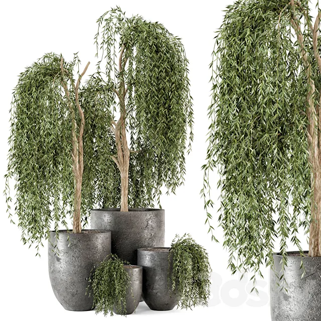 Outdoor Plants bush and Tree in rusty Dark Concrete Pot – Set 52 3D Model