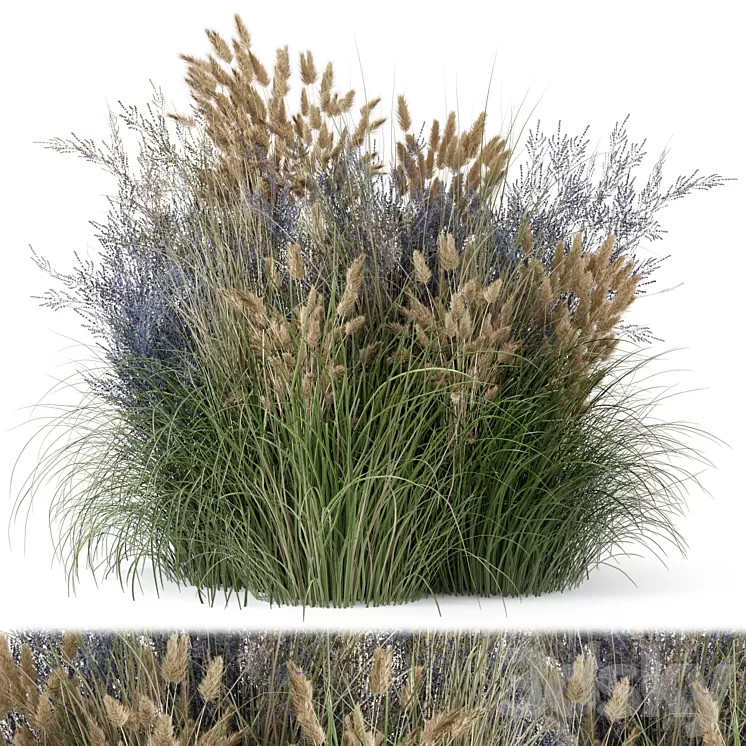 Outdoor Plants Bush-Bush Set 1225 3D Model Free Download