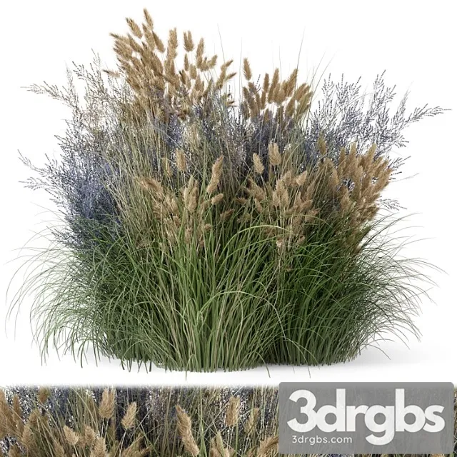 Outdoor plants bush-bush set 1225 Outdoor plants bush-bush set 1225