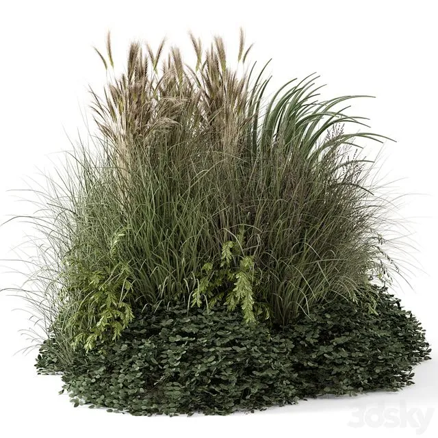Outdoor Plants Bush-Bush Set 1644 3D Model