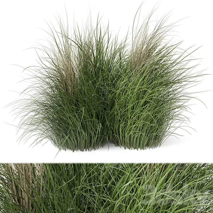 Outdoor Plants Bush -Bush Set 218 3D Model Outdoor Plants Bush -Bush Set 218 3D Model