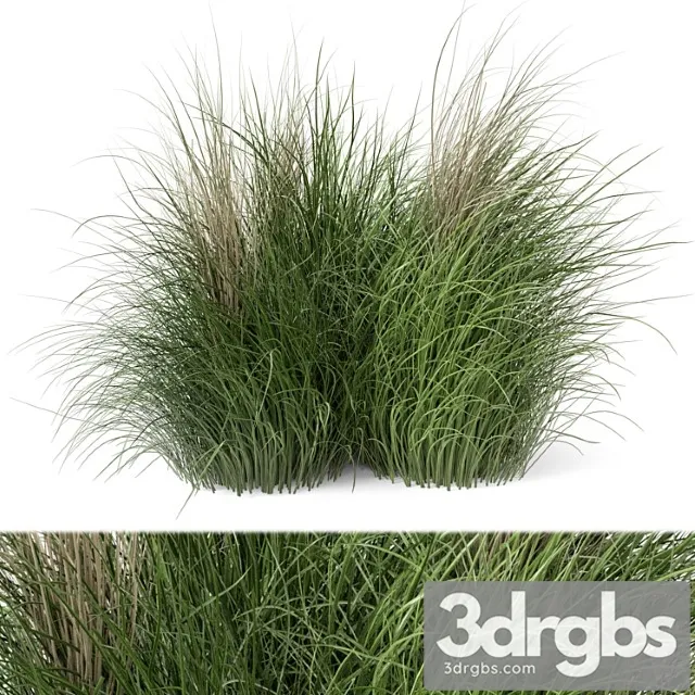 Outdoor plants bush -bush set 218 Outdoor plants bush -bush set 218