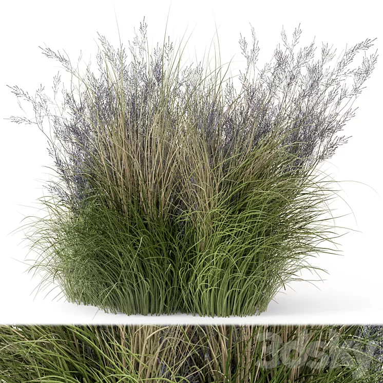 Outdoor Plants Bush-Bush Set 660 3D Model Free Download Outdoor Plants Bush-Bush Set 660 3D Model Free Download