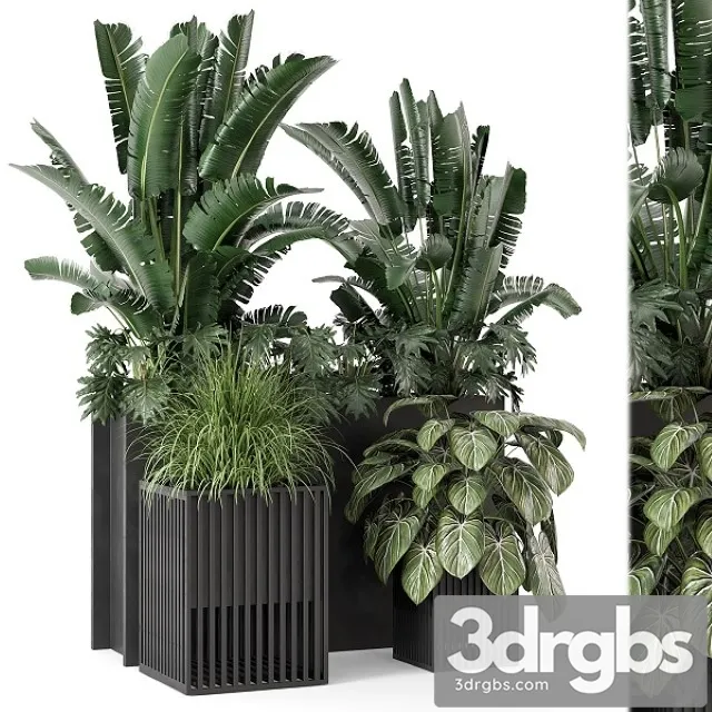 Outdoor Plants Bush in Metal Pot Set 1074 3D Model Download