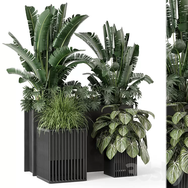 Outdoor Plants Bush in Metal Pot – Set 1074 3D Model Free Download