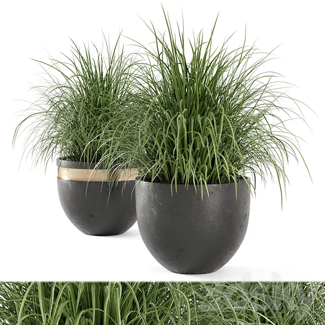 Outdoor Plants Bush in rusty Concrete Pot – Set 186 3DModel Outdoor Plants Bush in rusty Concrete Pot – Set 186 3DModel