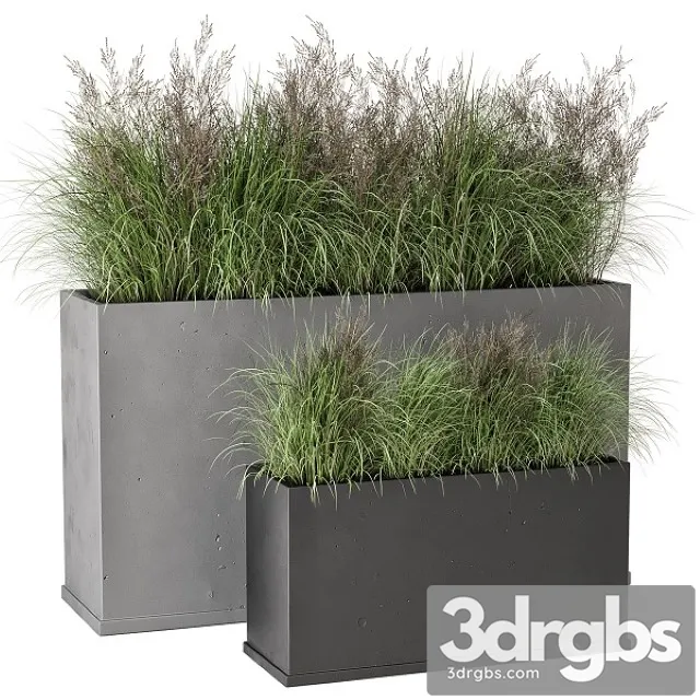 Outdoor Plants Bush in Rusty Concrete Pot Set 565 3D Model Download