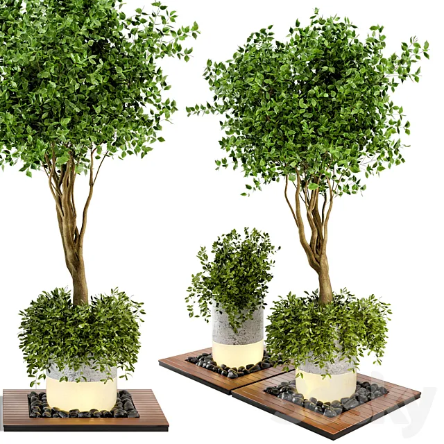 Outdoor Plants bush & Tree Combination of wood & concrete Pot – Garden Set 45 3D Model
