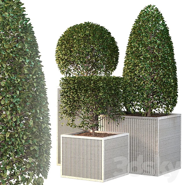 Outdoor plants – Bush vol2 3D Model Outdoor plants – Bush vol2 3D Model