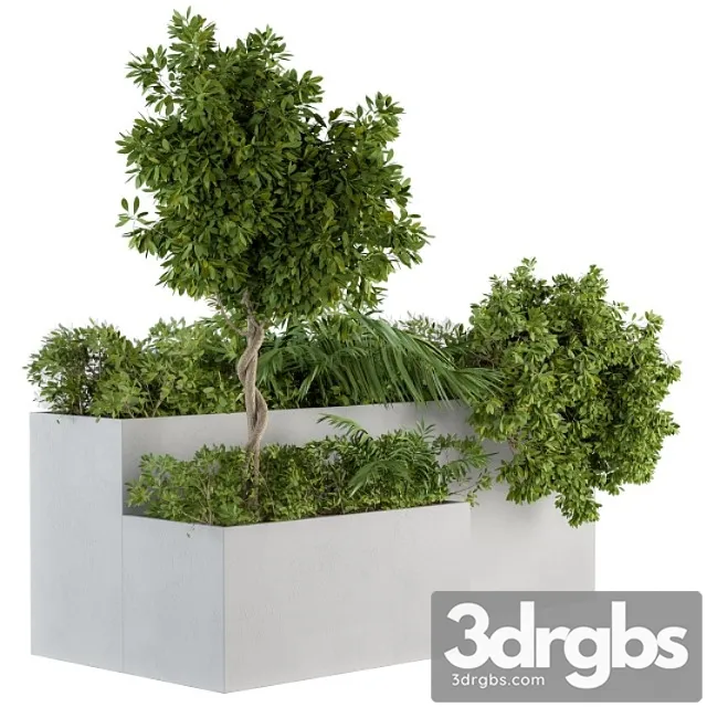 Outdoor Plants Concrete Box Set 45 3D Model Download