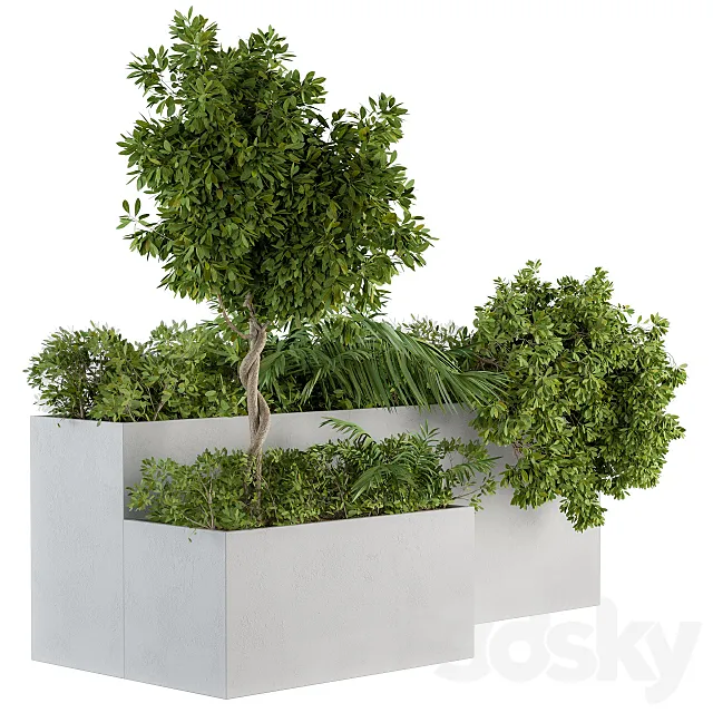 outdoor Plants Concrete Box – Set 45 3D Model