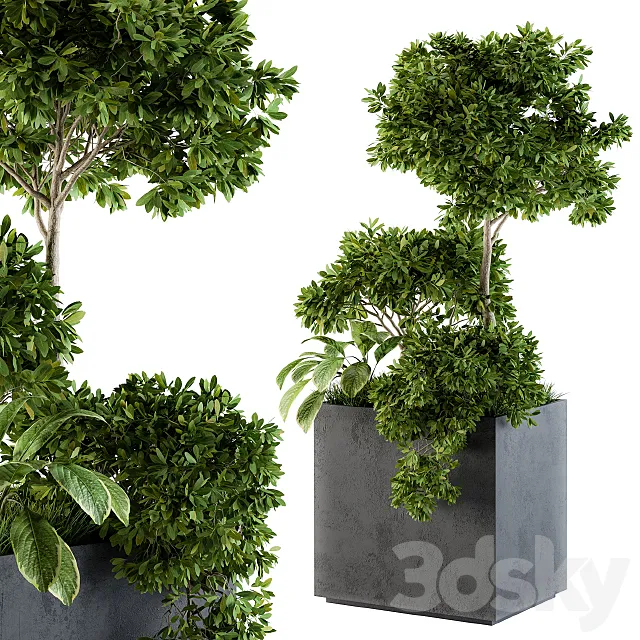 Outdoor Plants Concrete Box – Set 58 3D Model