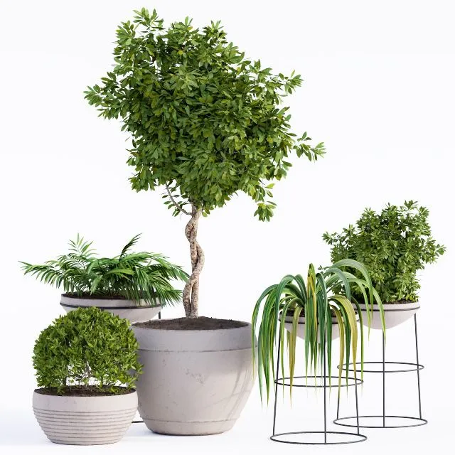 Outdoor Plants Full Set 3D Model Outdoor Plants Full Set 3D Model