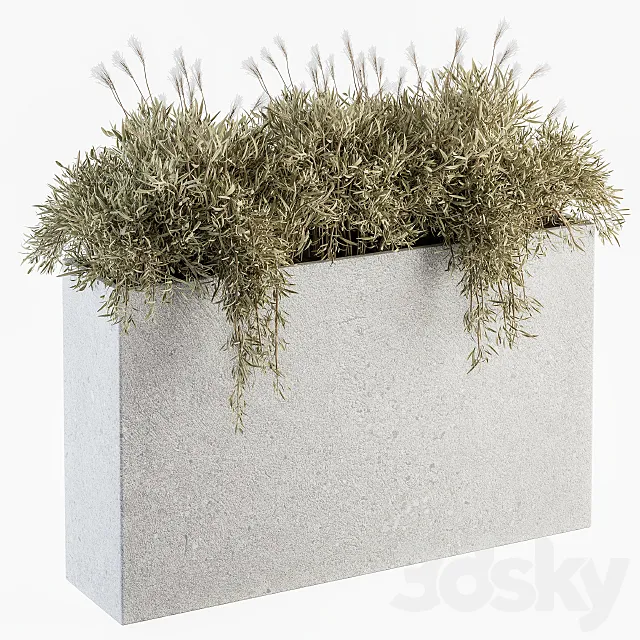 Outdoor Plants in Concrete Plant Box – Set 165 3D Model
