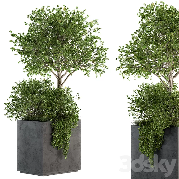 Outdoor Plants in Concrete Plant Box – Set 93 3D Model