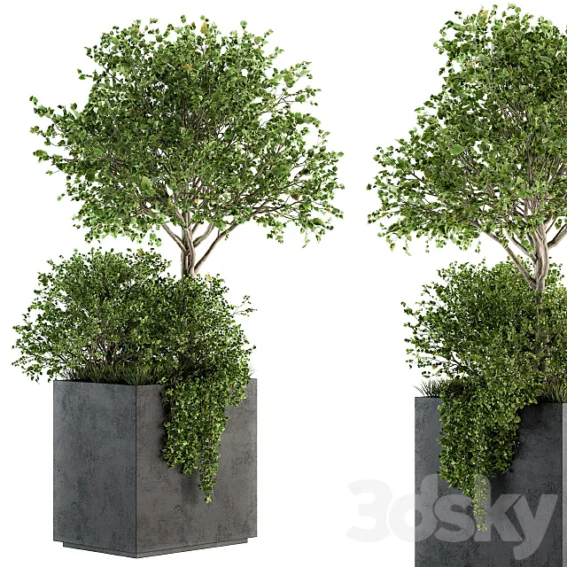 Outdoor Plants in Concrete Plant Box – Set 93 3DModel