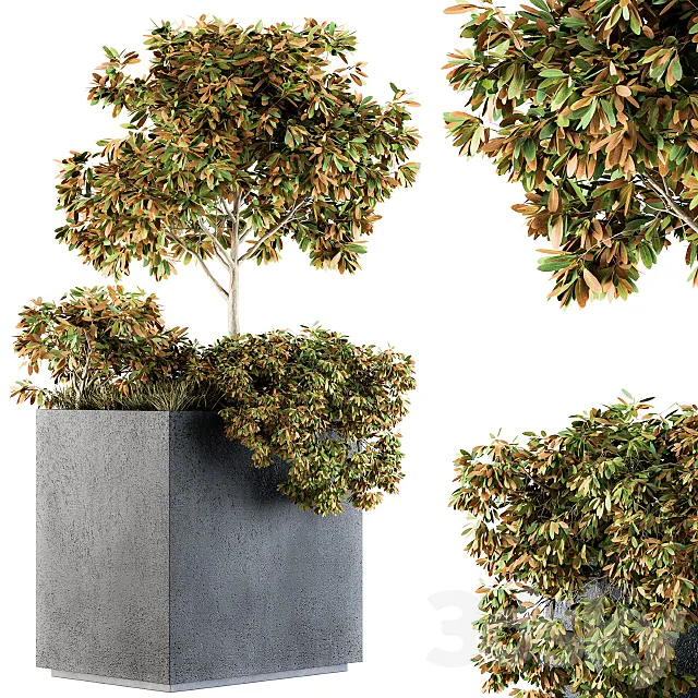 Outdoor Plants in Concrete Plant Box – Set 98 3D Model