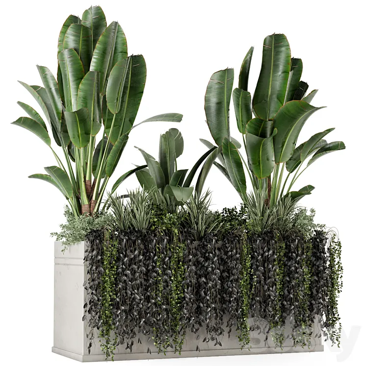 Outdoor Plants in Concrete Pot-Set 519 3D Model Free Download