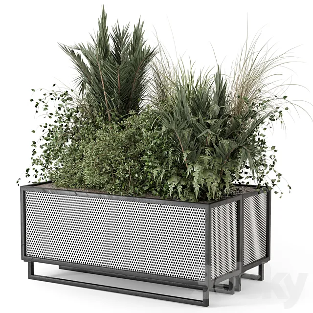 Outdoor Plants in Metal Pots – Set 2086 3D Model