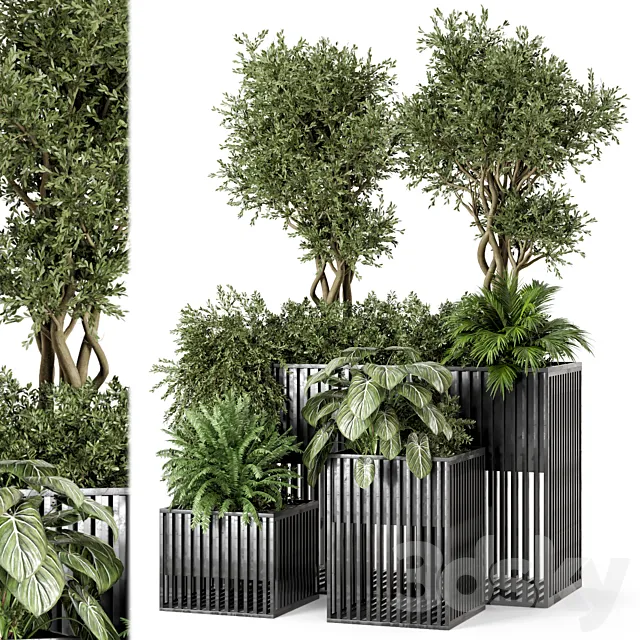 Outdoor Plants in Metal Pots – Set 802 3D Model Outdoor Plants in Metal Pots – Set 802 3D Model
