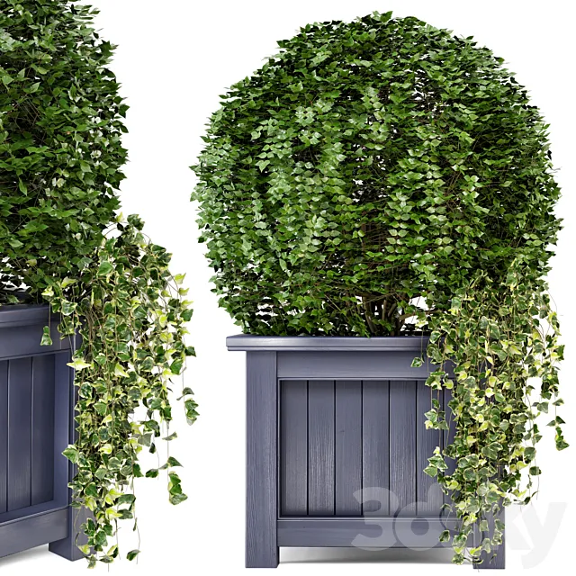 Outdoor Plants in Wooden Pot – Set 34 3DModel
