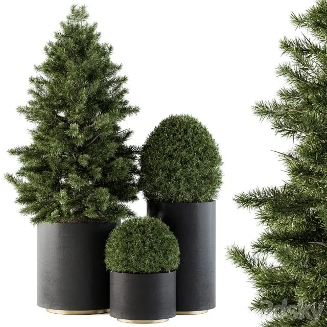 Outdoor Plants tree in Concrete Pot – Set 110 3D Model