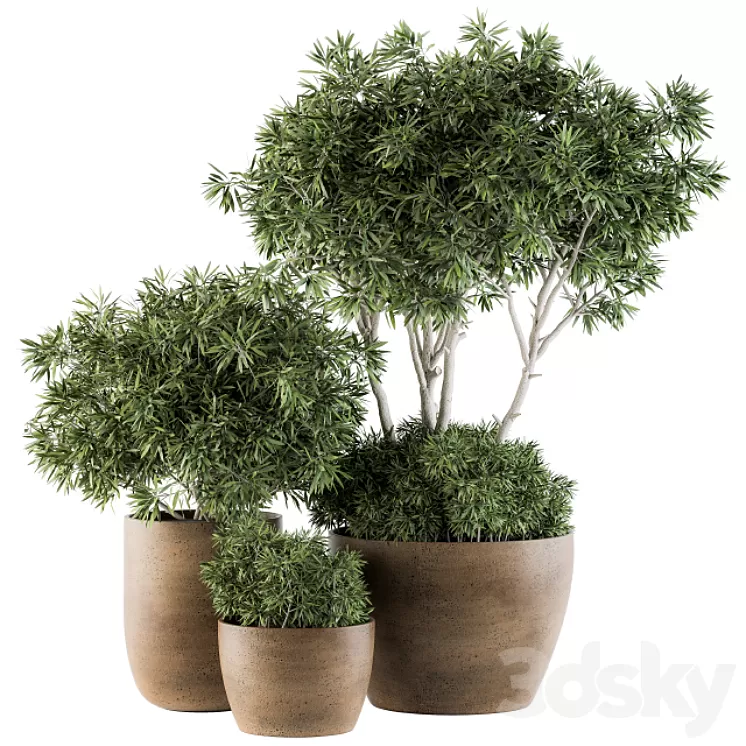 Outdoor Plants tree in Concrete Pot – Set 111 3D Model