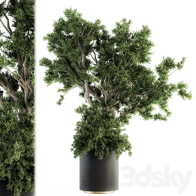 Outdoor Plants tree in Concrete Pot – Set 130 3D Model