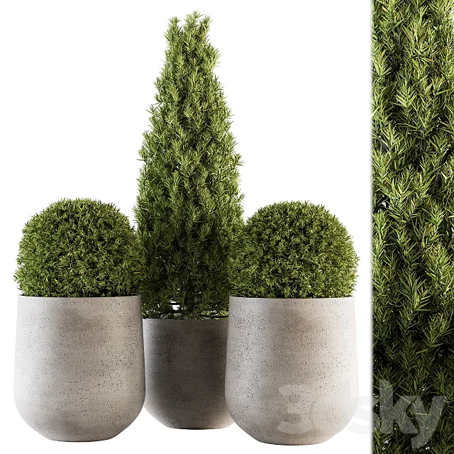 Outdoor Plants tree in Concrete Pot – Set 143 3D Model
