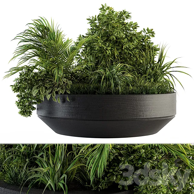 Outdoor Plants tree in Concrete Pot – Set 144 3D Model