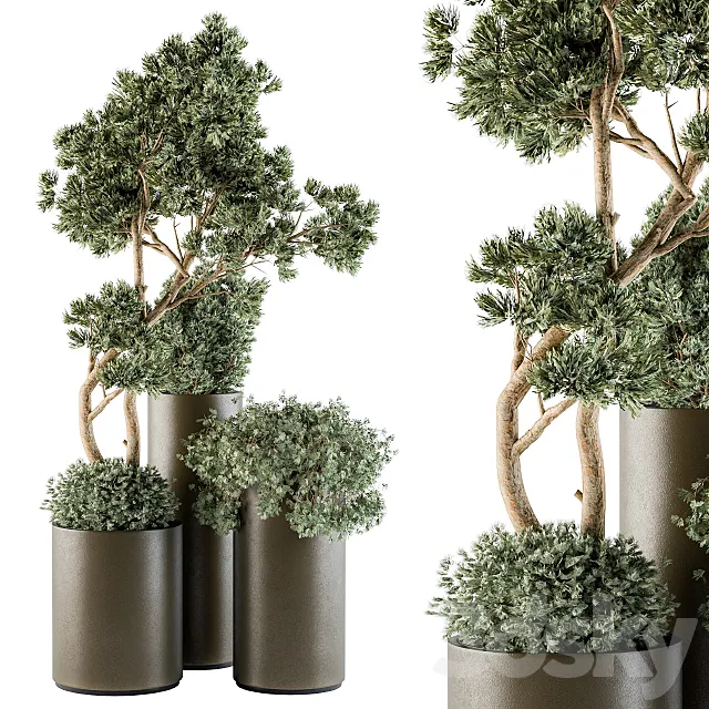 Outdoor Plants tree in Metal Pot – Set 102 3D Model