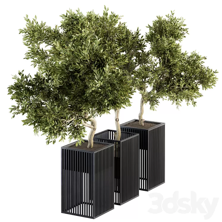 Outdoor Plants tree in Metal Pot – Set 134 3D Model Outdoor Plants tree in Metal Pot – Set 134 3D Model