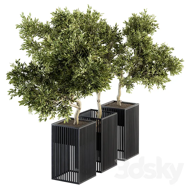 Outdoor Plants tree in Metal Pot – Set 134 3DModel