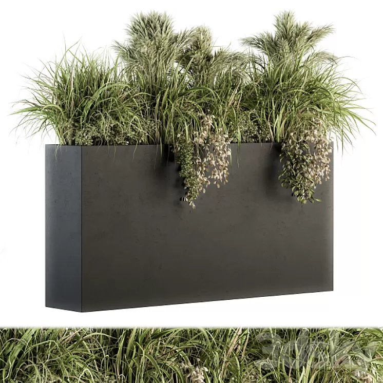 Outdoor Plants tree in Plant box – Set 124 3D Model