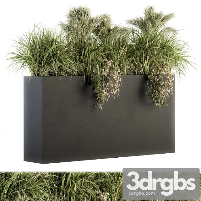 Outdoor plants tree in plant box – set 124
