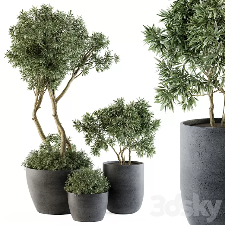 Outdoor Plants Tree in pot – Set 90 3D Model
