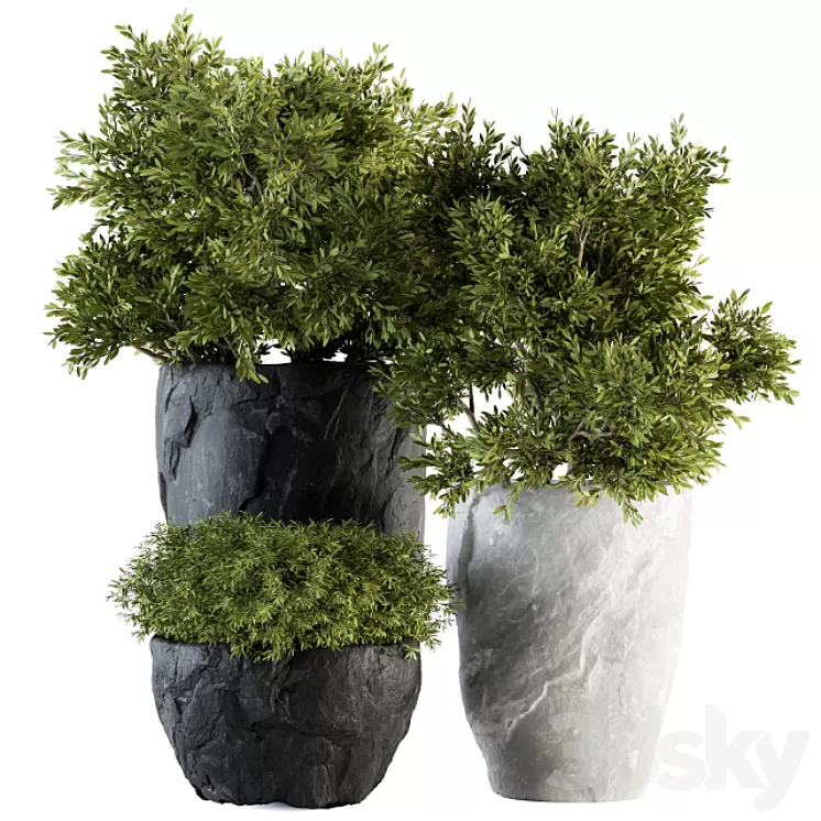 Outdoor Plants tree in Rock Pot – Set 136 3D Model