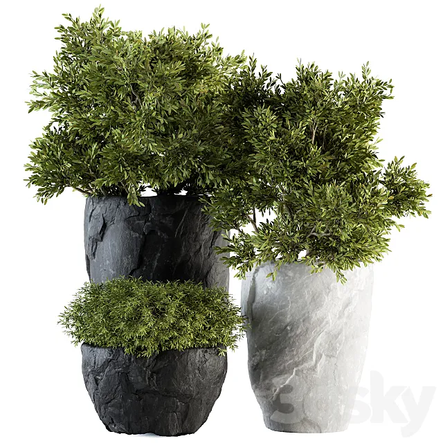 Outdoor Plants tree in Rock Pot – Set 136 3DModel