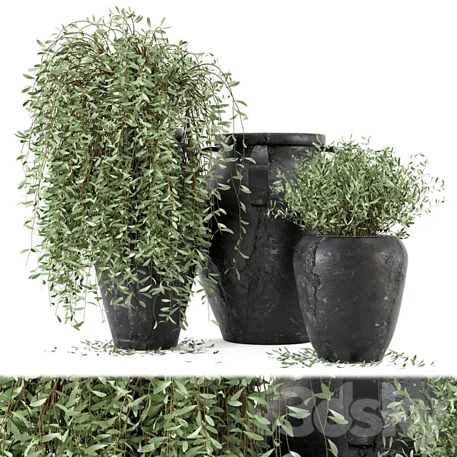 Outdoor Plants tree in rusty Concrete Pot – Set 2 3DModel