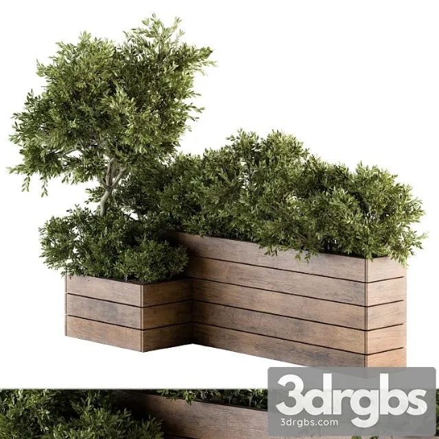 Outdoor Plants Tree in Wood Box Set 154 3D Model Download