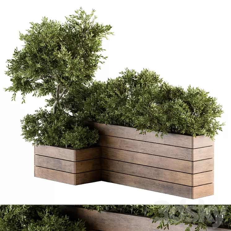 Outdoor Plants tree in Wood Box – Set 154 3D Model Outdoor Plants tree in Wood Box – Set 154 3D Model