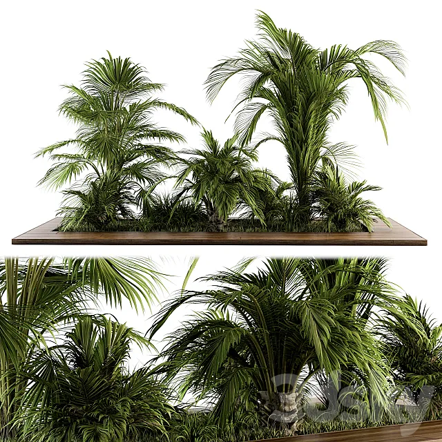 Outdoor Plants tree Tropical Garden – Set 143 3D Model