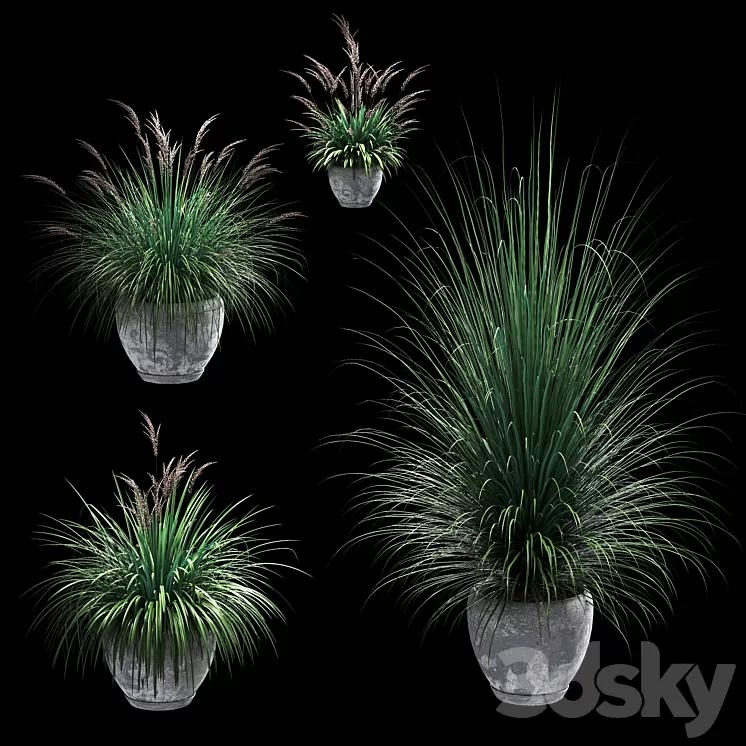 Outdoor potted plants. 4 models 3D Model Outdoor potted plants. 4 models 3D Model