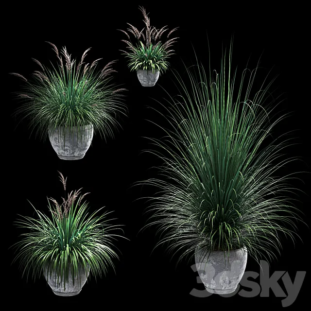 Outdoor potted plants. 4 models 3DModel