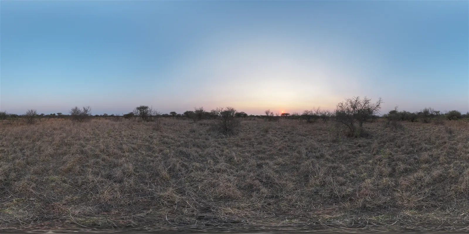 Safari Sunset