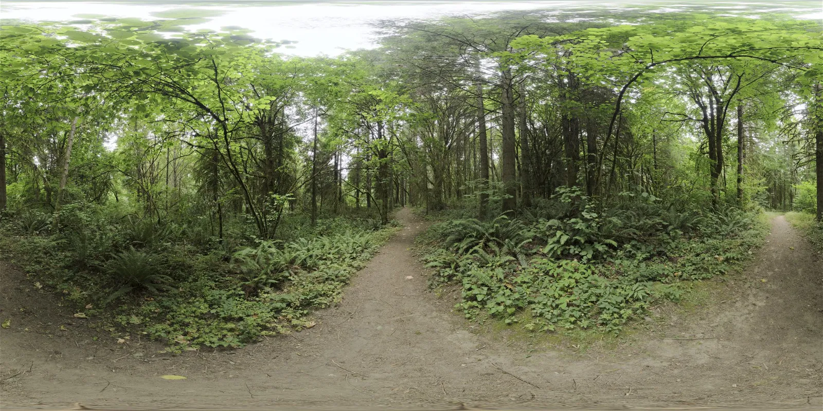 Whipple Creek Regional Park 04 Whipple Creek Regional Park 04