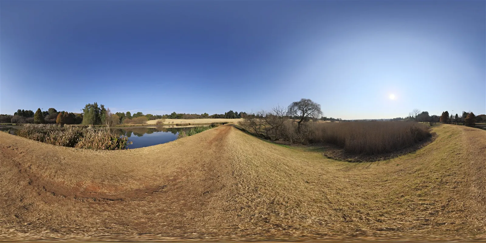 Winter Sky Winter Sky