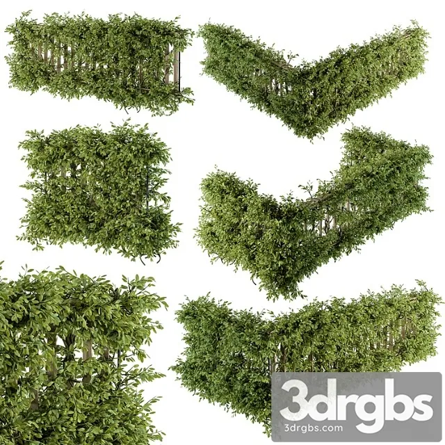 Outdoor Wood Fence With Ivy Plants Fence 07 3D Model Download Outdoor Wood Fence With Ivy Plants Fence 07 3D Model Download