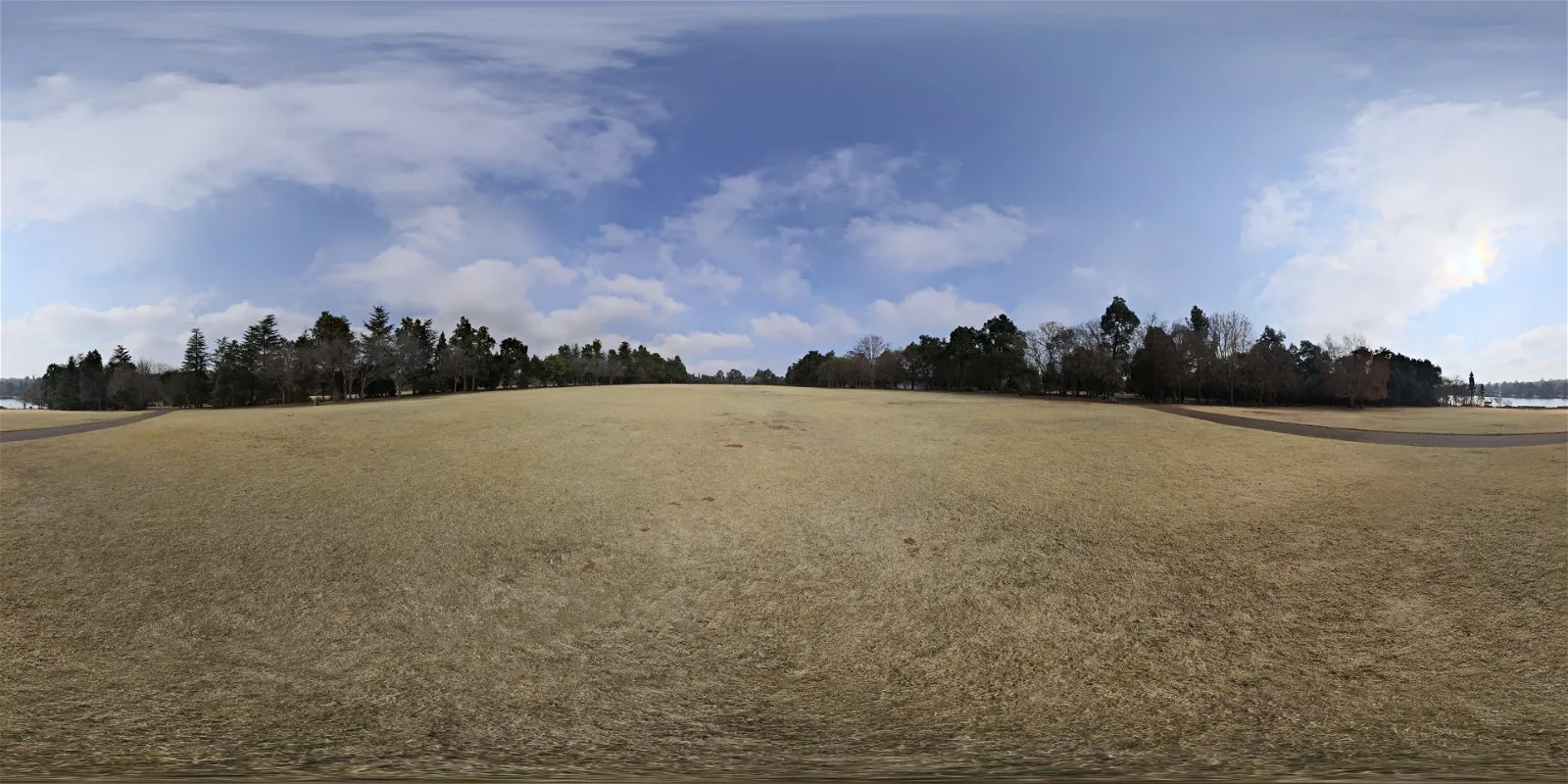 Yellow Field Yellow Field